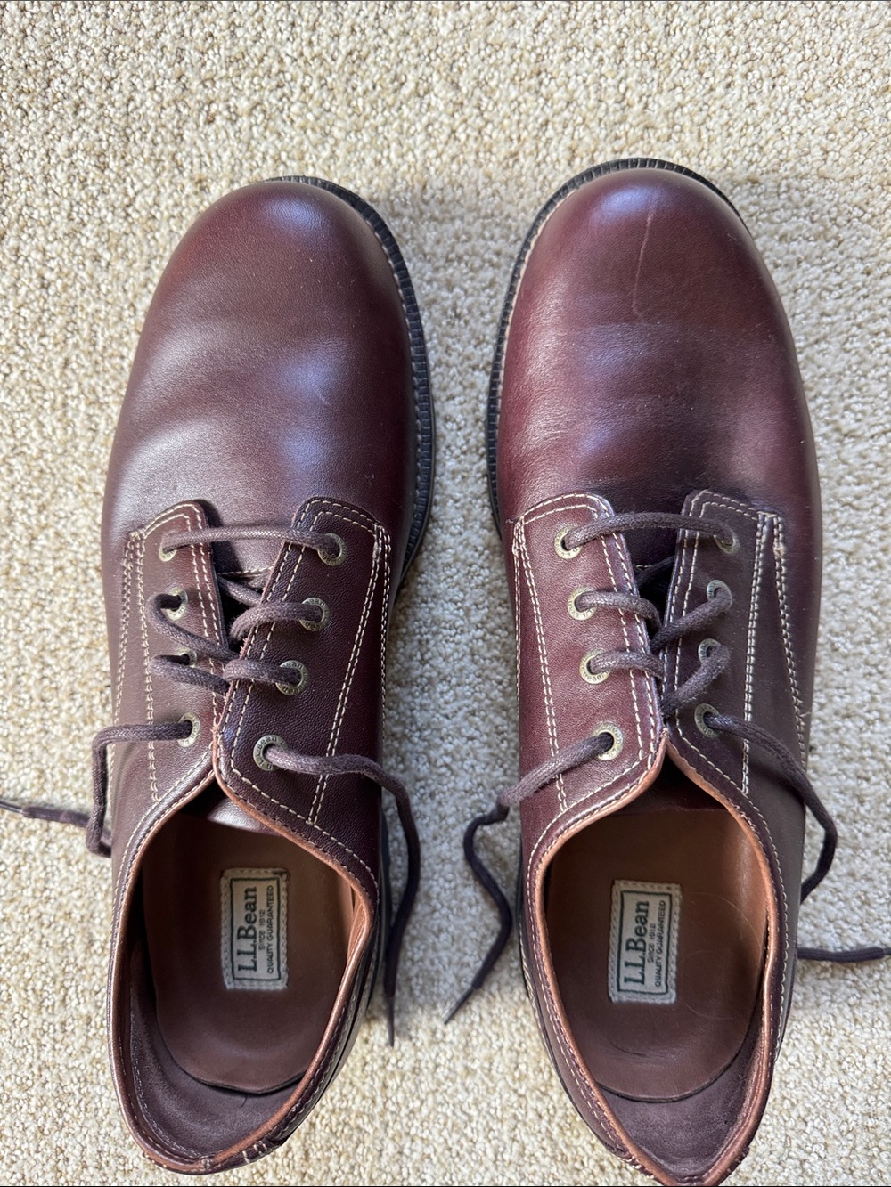 L.L. Bean Bucksport Leather Lace-Up Shoe in Dark Cocoa